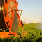 Sistema de irrigação: Conheça os tipos para sua obra